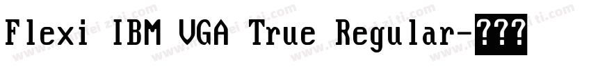 Flexi IBM VGA True Regular字体转换